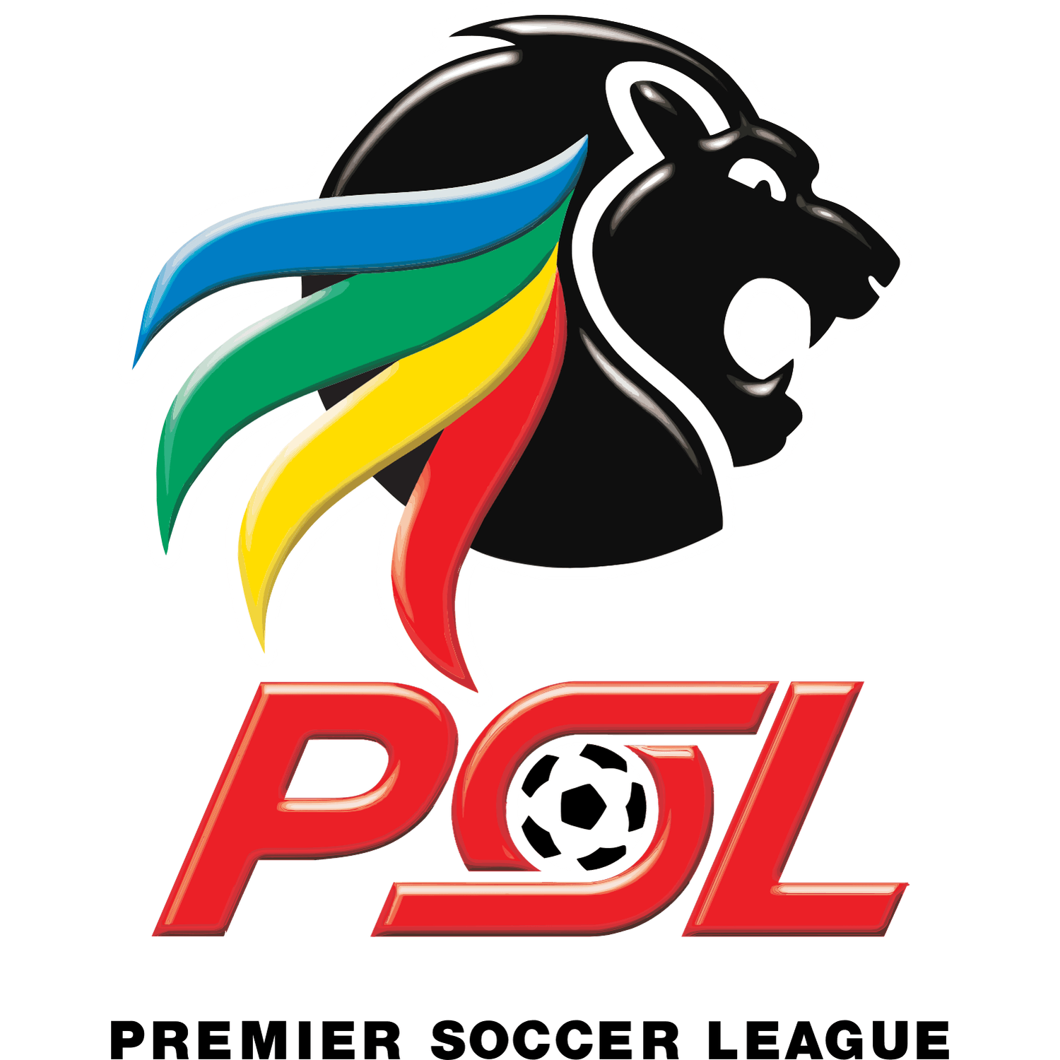 Premier Soccer League